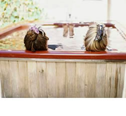 Hot tubs and spas